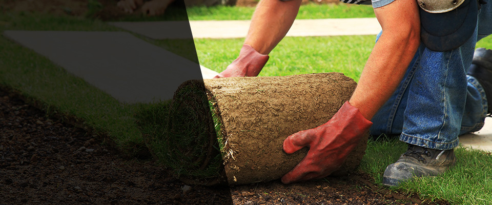 Perry Hall Landscapers